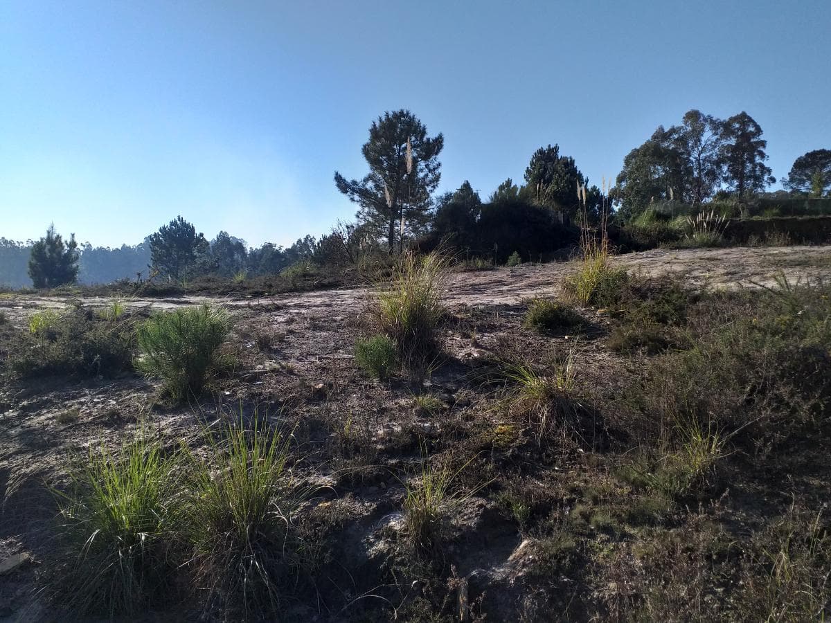 Lote para Construção · Vila Nova de Gaia — imagem 1