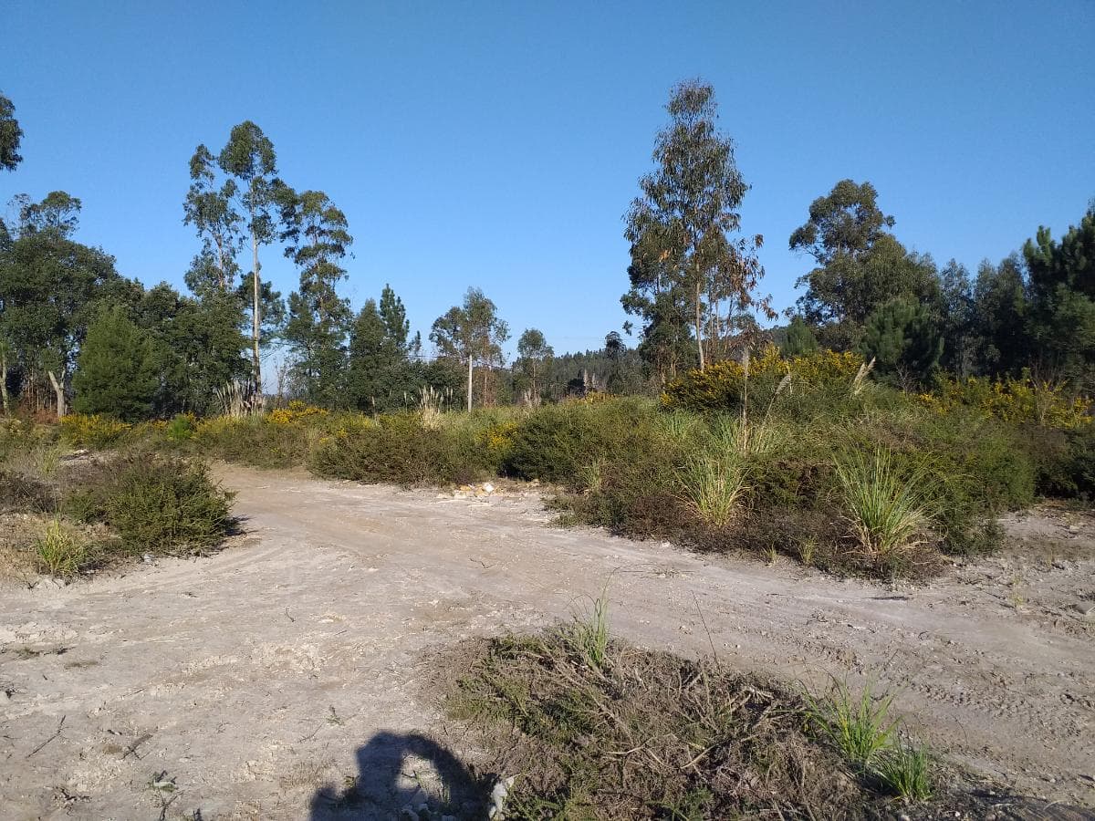 Lote para Construção · Vila Nova de Gaia — image 4