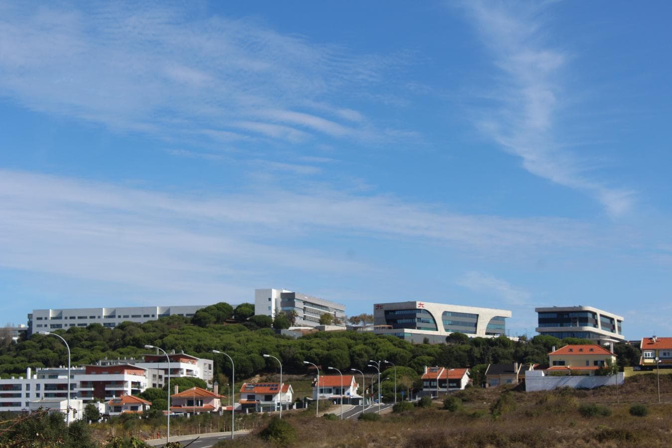 Terrenos com + 3 ha · Oeiras — image 13
