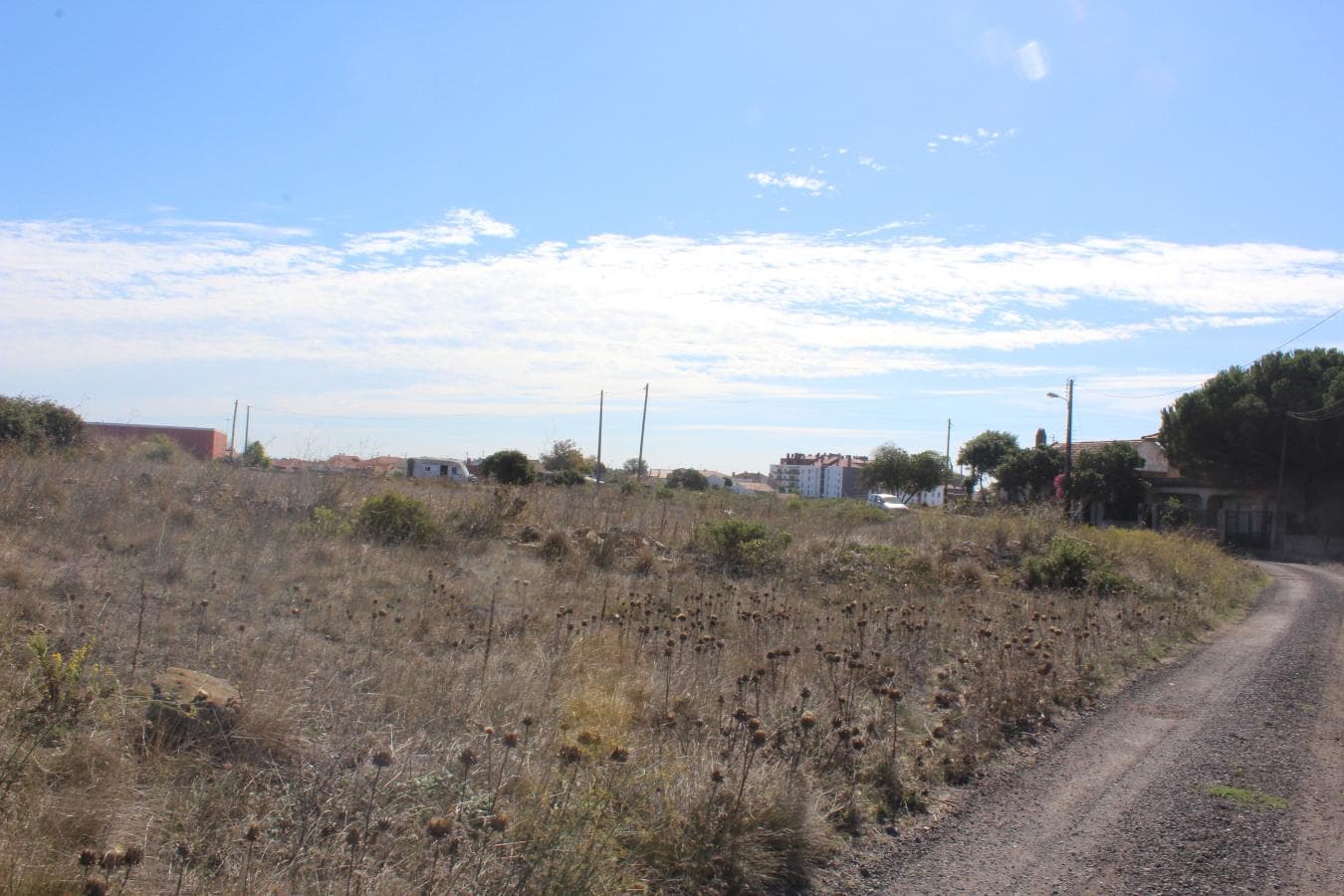 Terrenos com + 3 ha · Oeiras — image 7