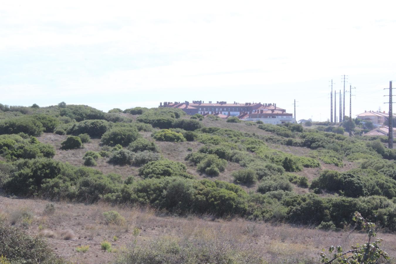 Terrenos com + 3 ha · Oeiras — image 8