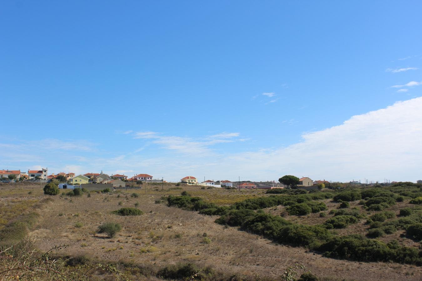 Terrenos com + 3 ha · Oeiras — image 4