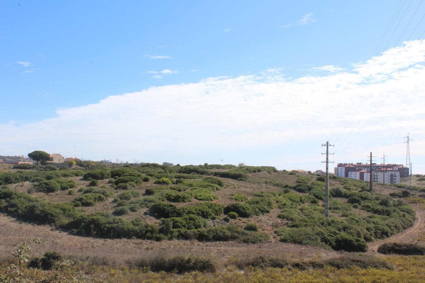 Terrenos com + 3 ha · Oeiras — image 2