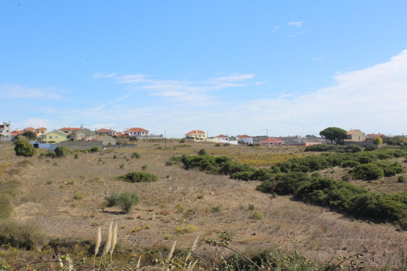 Terrenos com + 3 ha · Oeiras — image 6