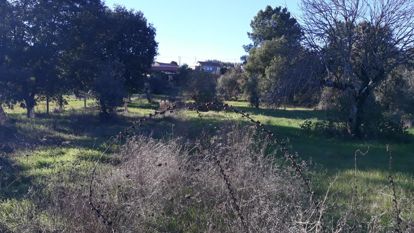 Moradia V2 com Terreno · Ferreira do Zêzere, Santarém — imagen 7