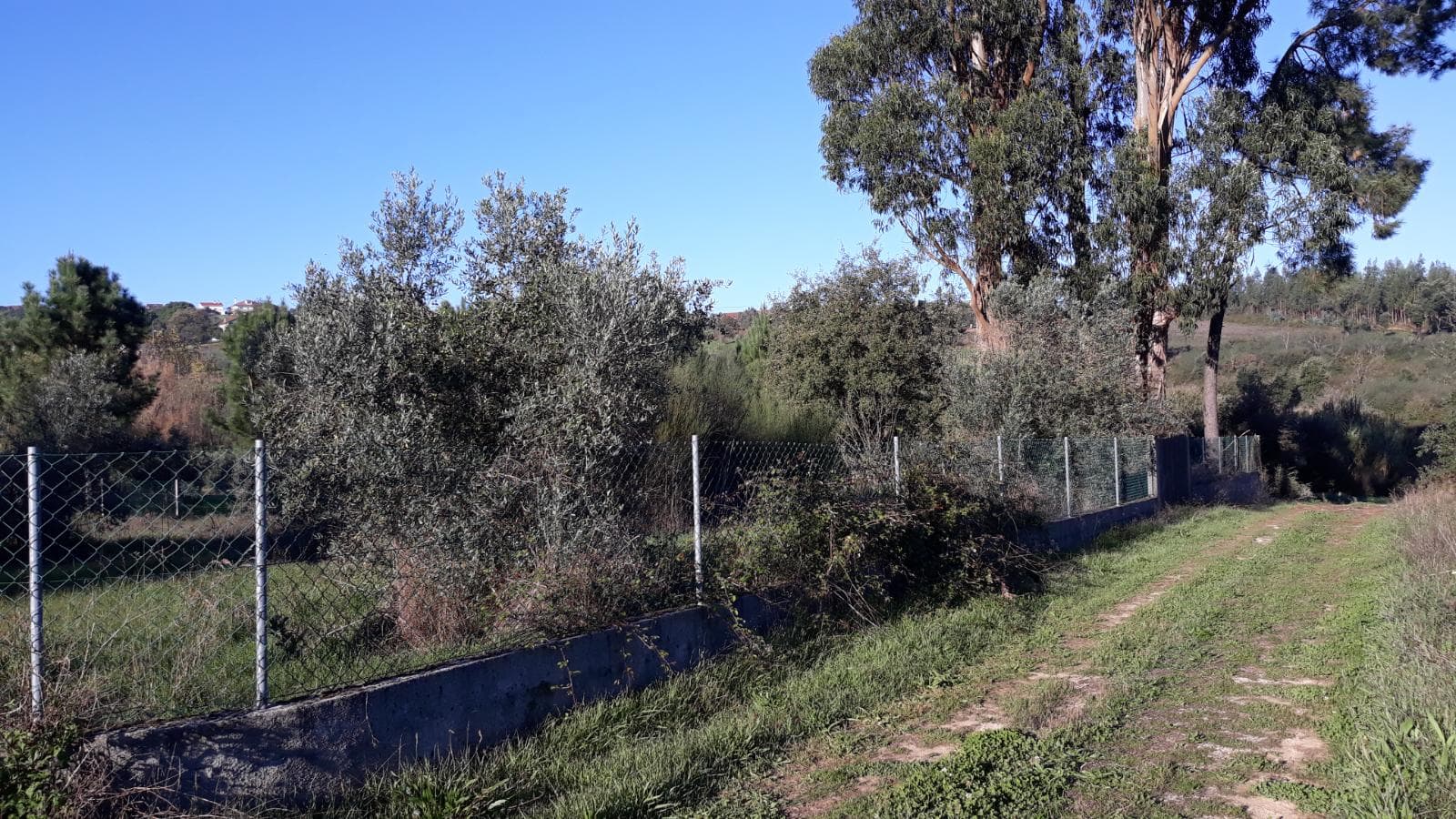 Moradia V2 com Terreno · Ferreira do Zêzere, Santarém — imagen 12