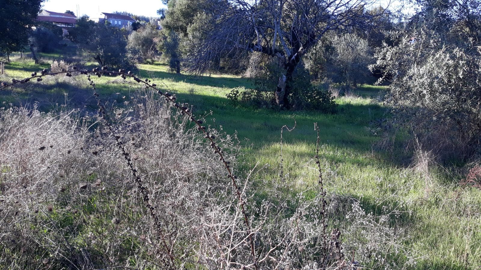 Moradia V2 com Terreno · Ferreira do Zêzere, Santarém — imagen 9