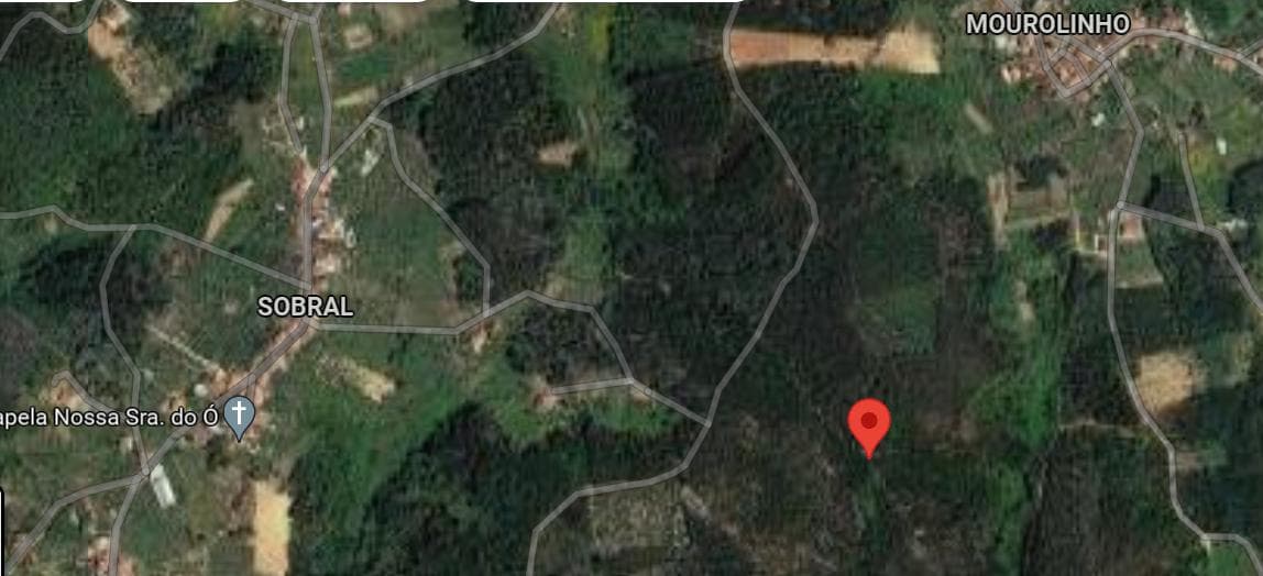 Terreno · Ferreira do Zêzere, Santarém — imagen 6