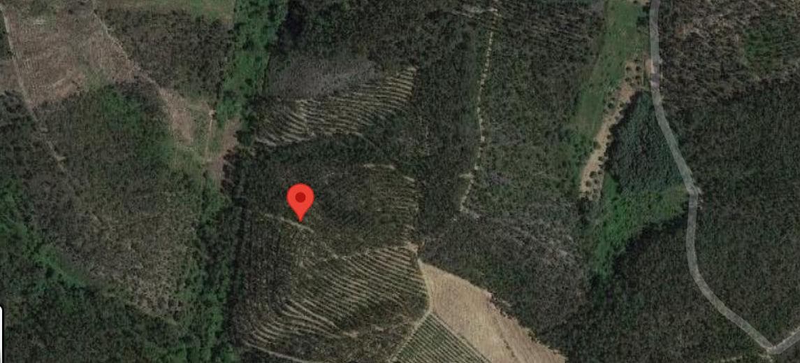Terreno · Ferreira do Zêzere, Santarém — imagen 4