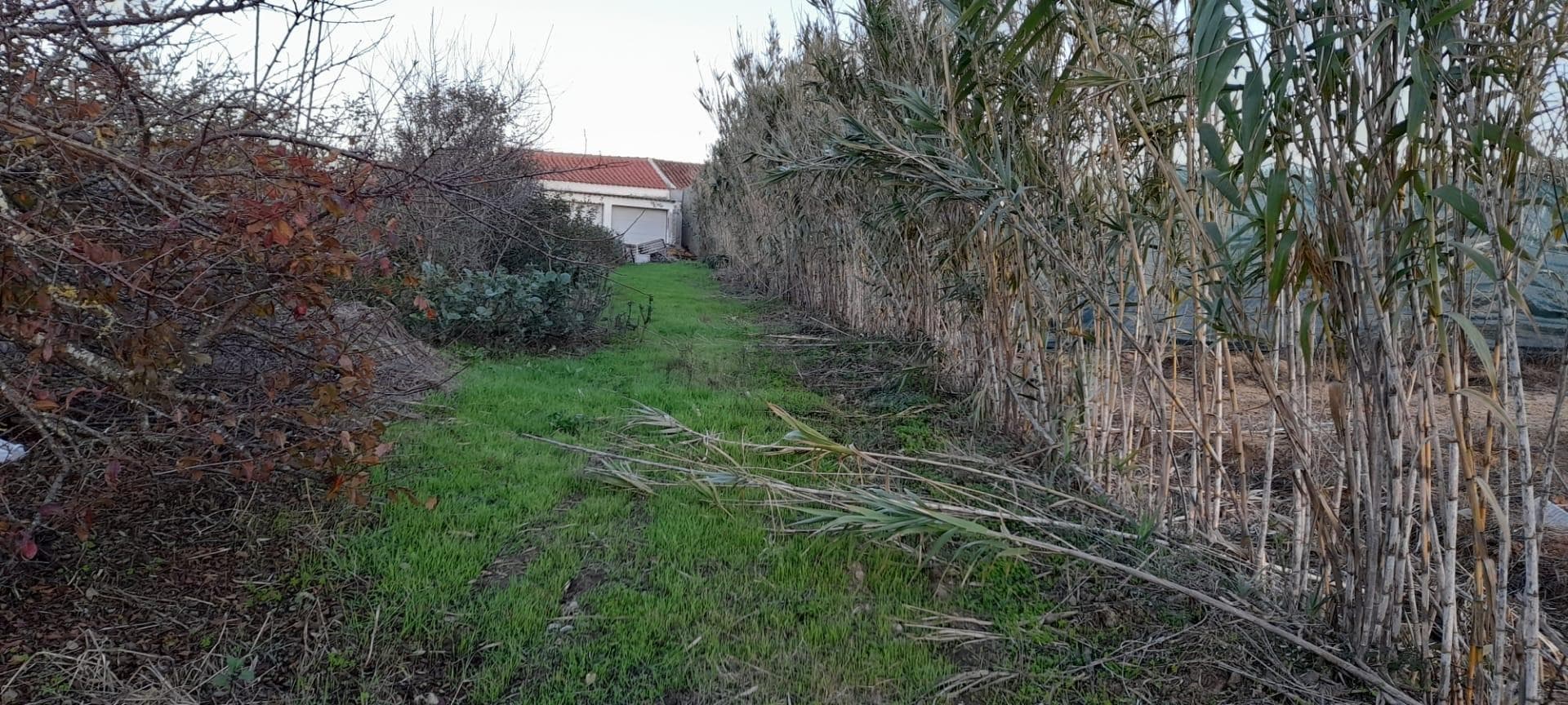 Direito à Meação · Moradia V3 com Garagem · Loja · Torres Vedras — imagen 17