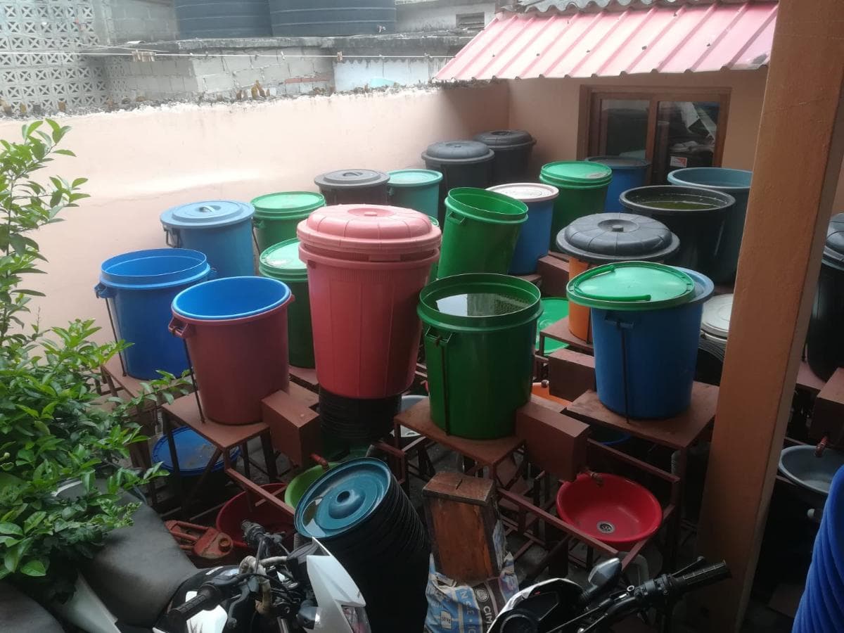 Baldes para lavar mãos ·