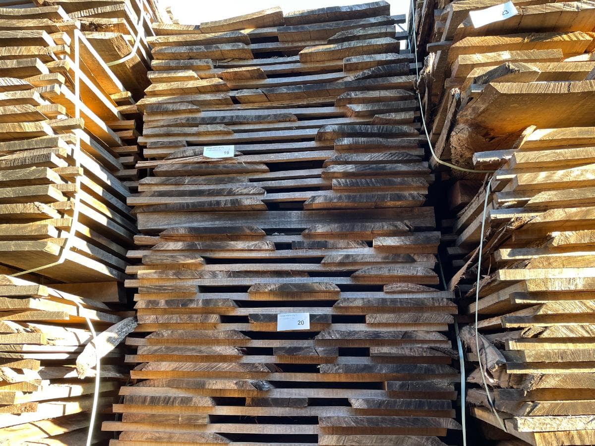 Atados de Eucalipto — imagen 6