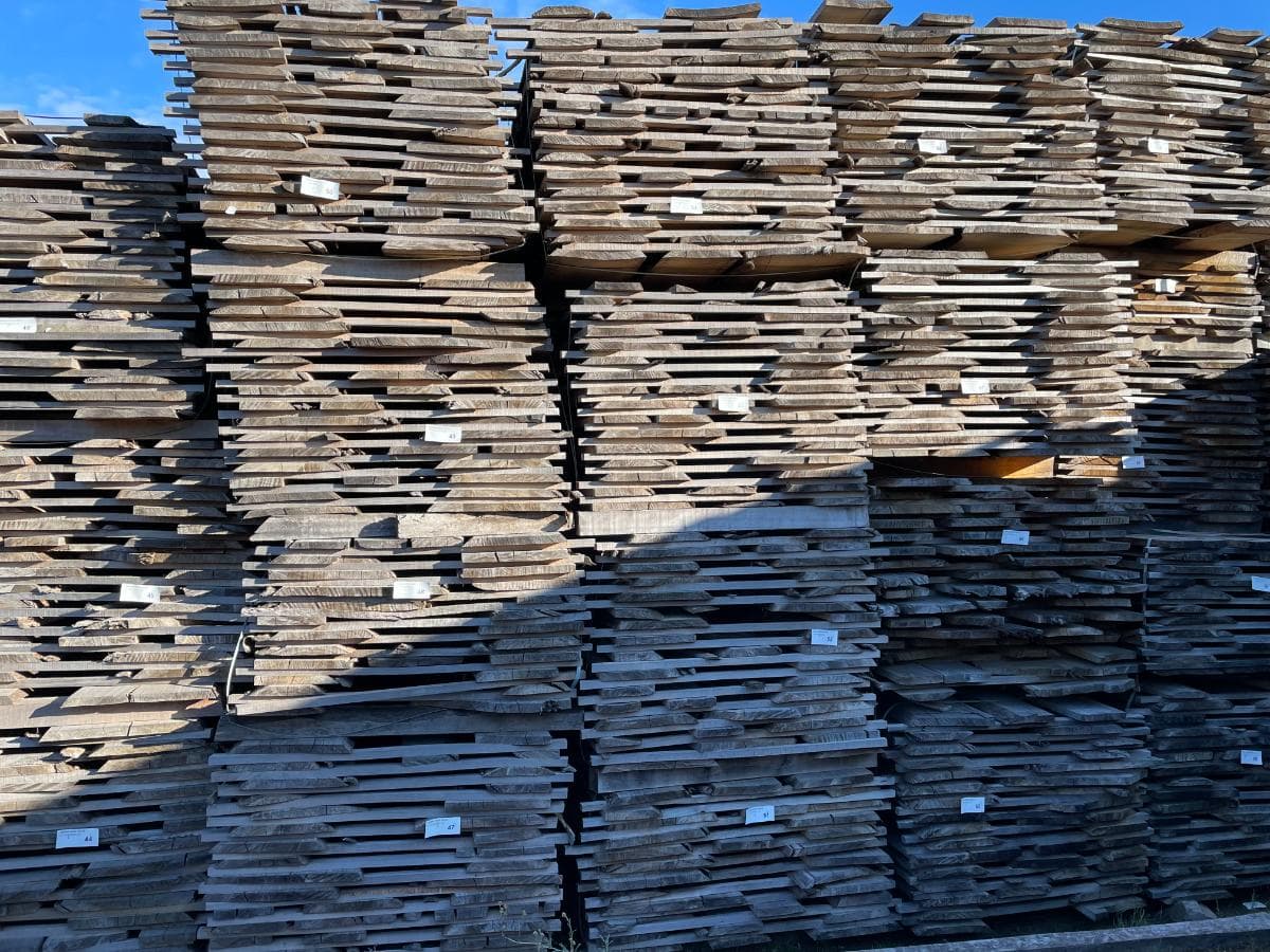 Atados de Tabla de Eucalipto — imagen 2
