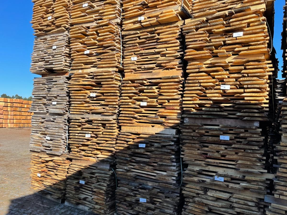 Tabla de Eucalipto — imagen 3