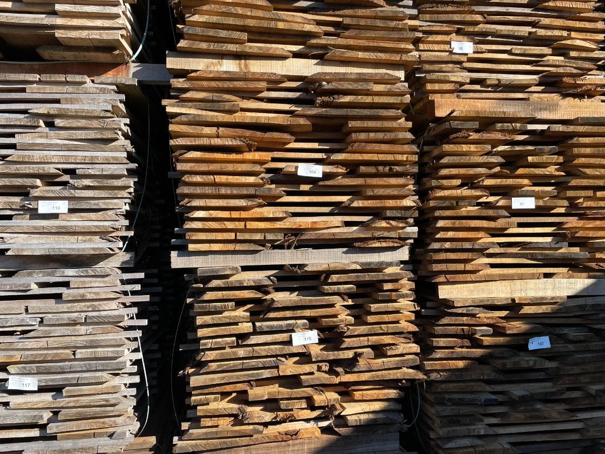 Tabla de Eucalipto — imagen 6