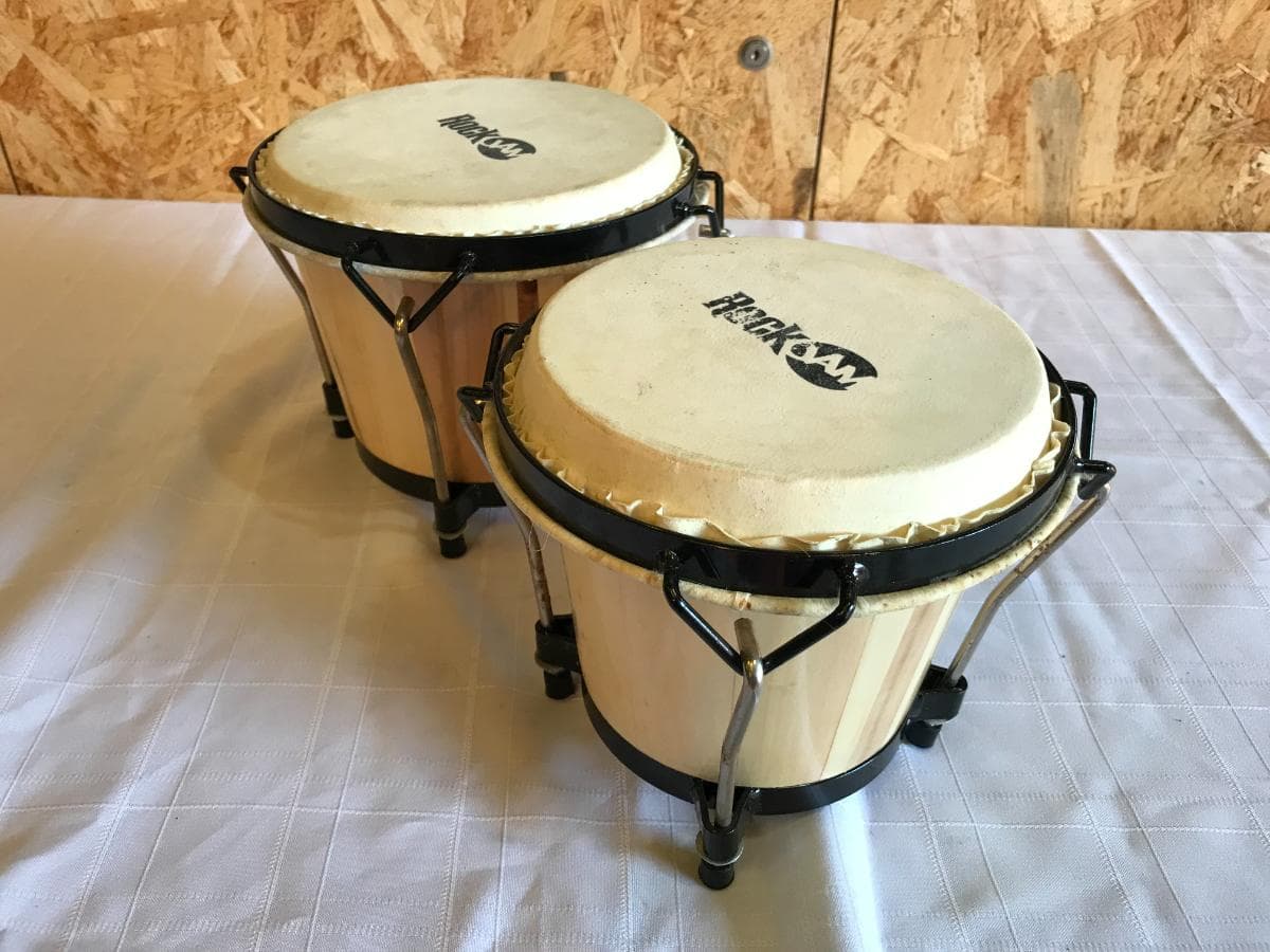 Bongo — image 4