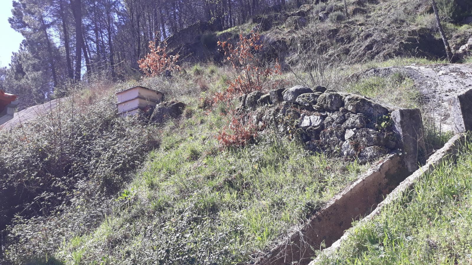 Terreno · Manteigas, Guarda — image 1