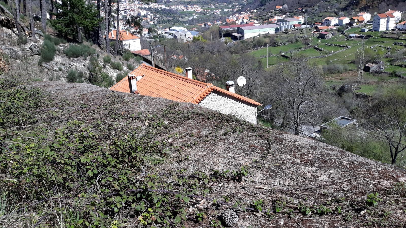 Terreno · Manteigas, Guarda — image 6