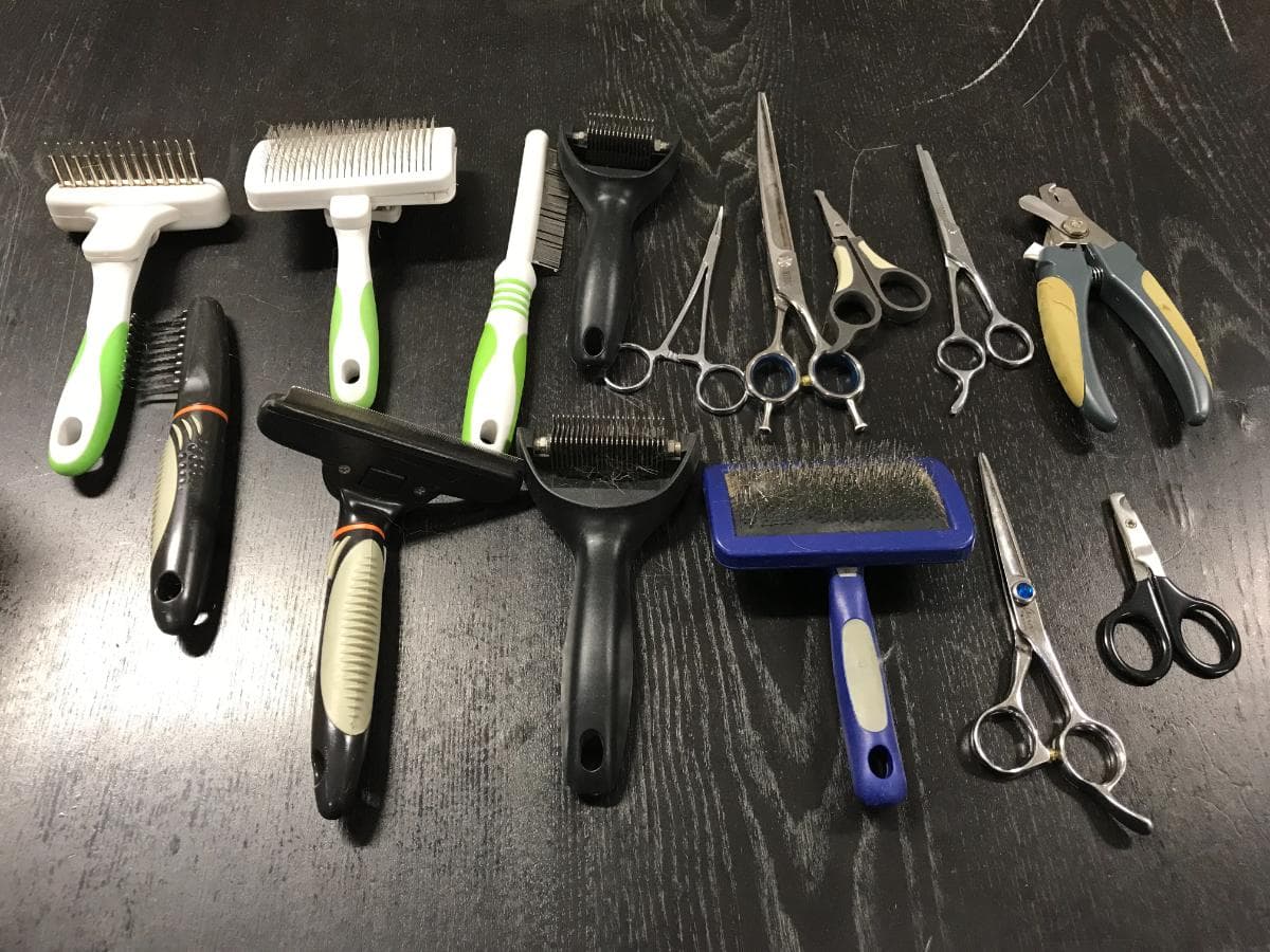 Equipamentos Animais — imagem 8