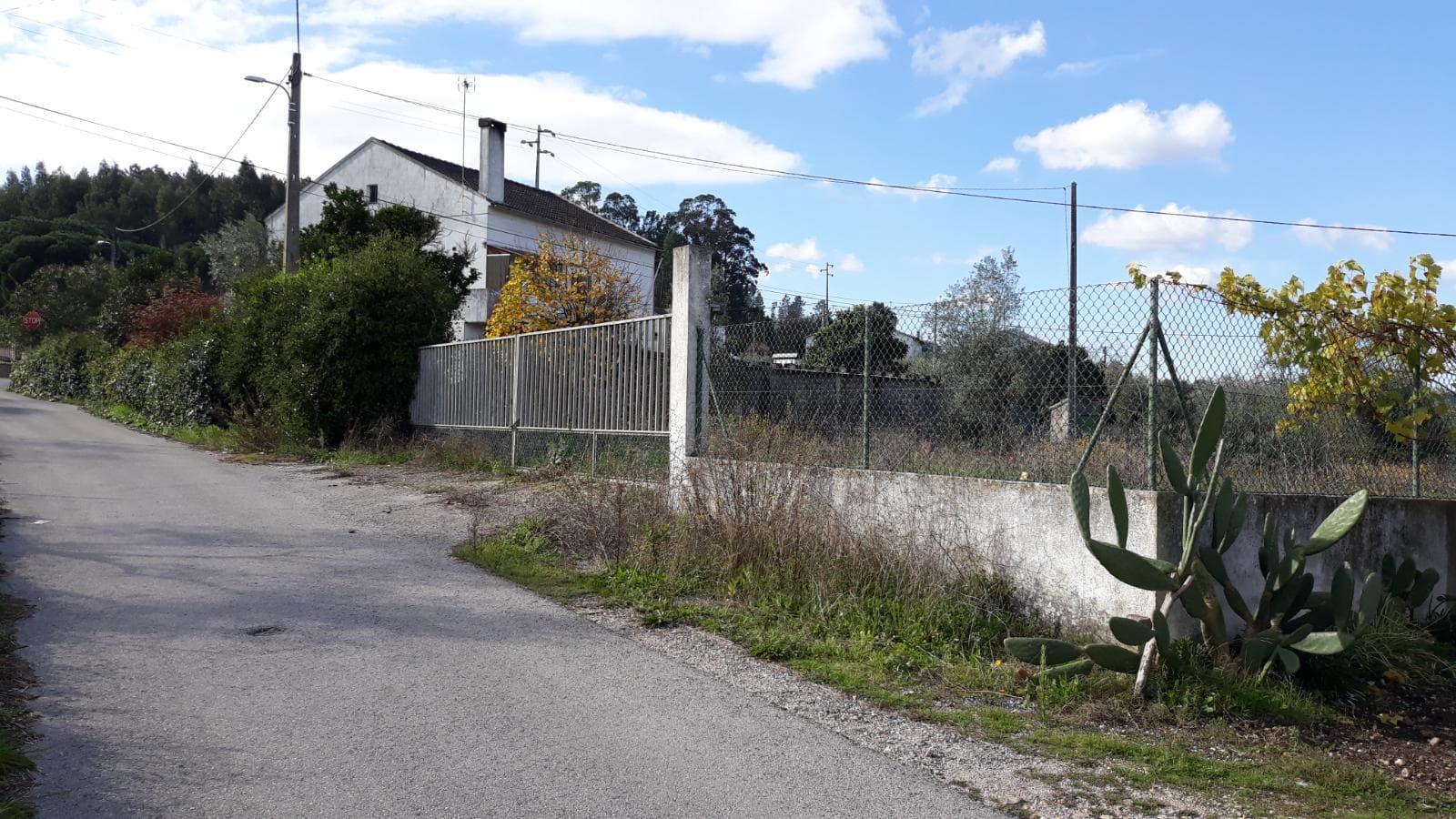 Terreno · Ourém — imagem 3