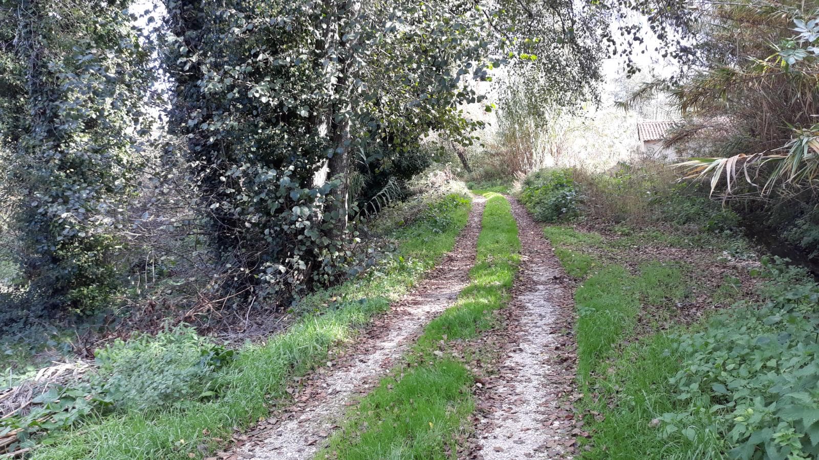 Terreno · Ourém — image 4