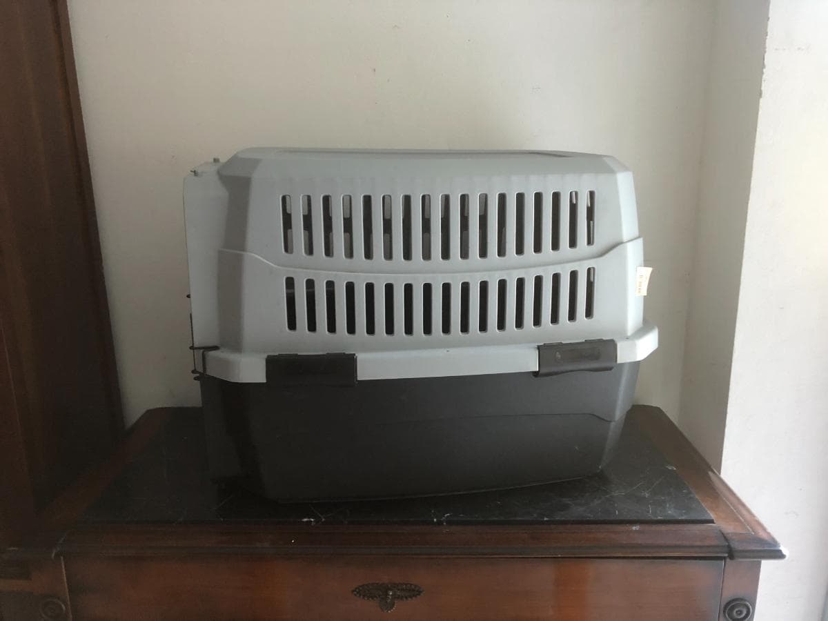 Transportadora para animales