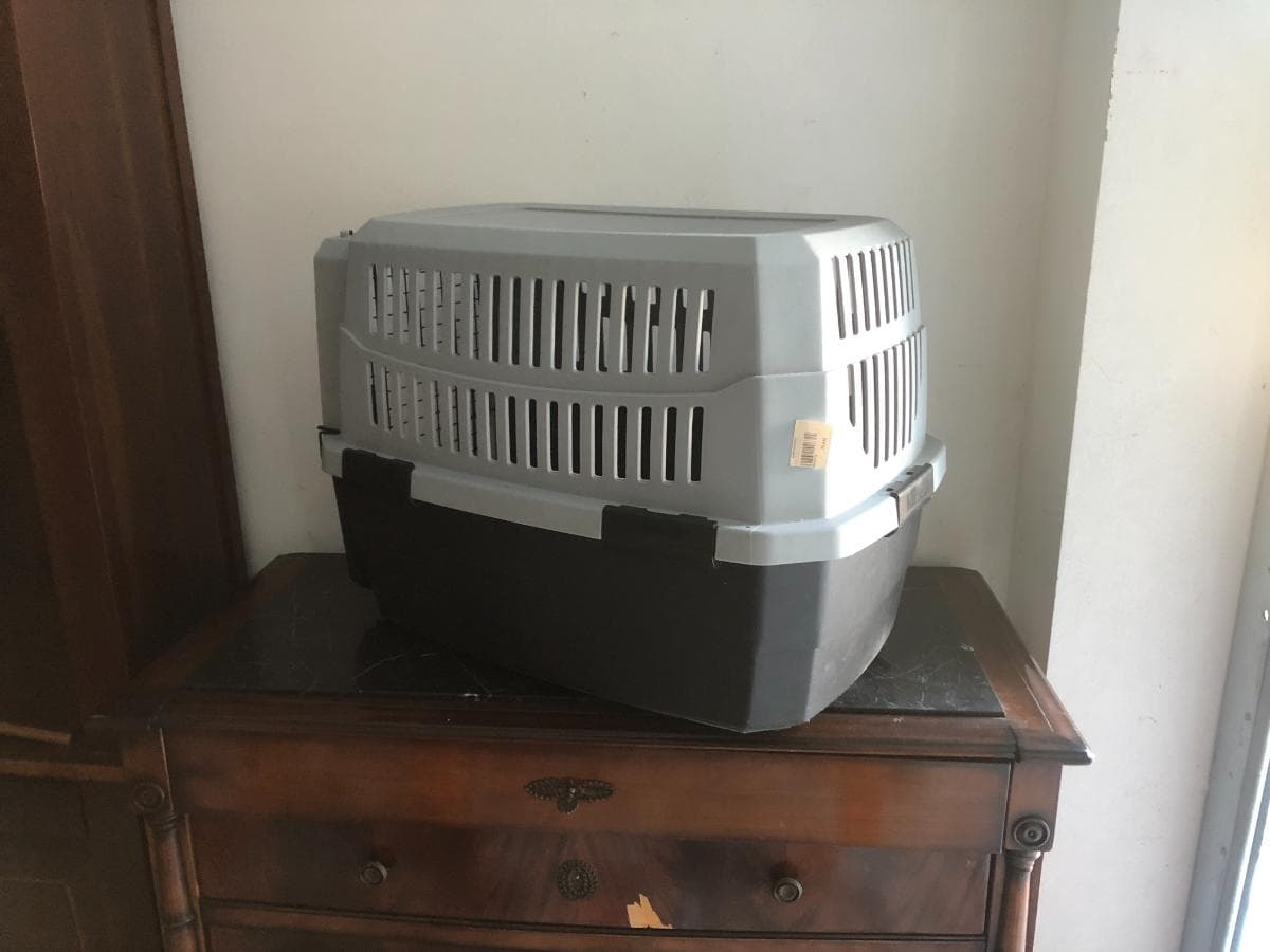 Transportadora Animais — imagem 2