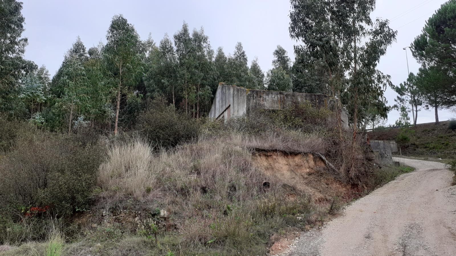 Lote para Construção · Torres Vedras — imagem 3