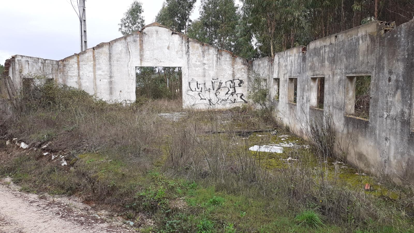 Lote para Construção · Torres Vedras — imagem 2