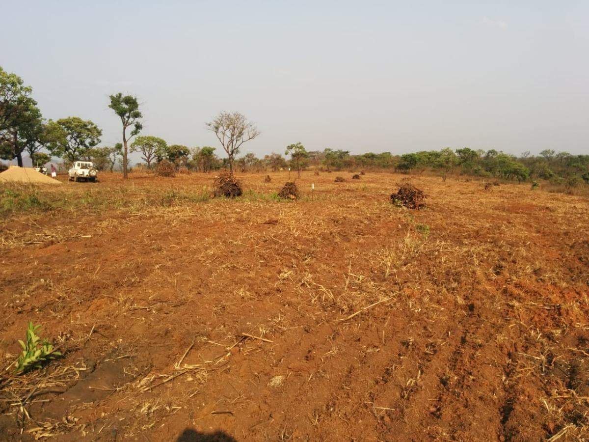 Fazenda Agropecuária | 362 ha · Lucala — imagen 8