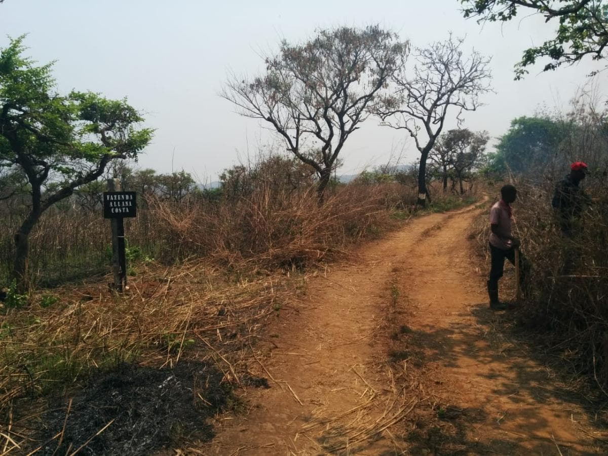 Fazenda Agropecuária | 362 ha · Lucala — imagen 5