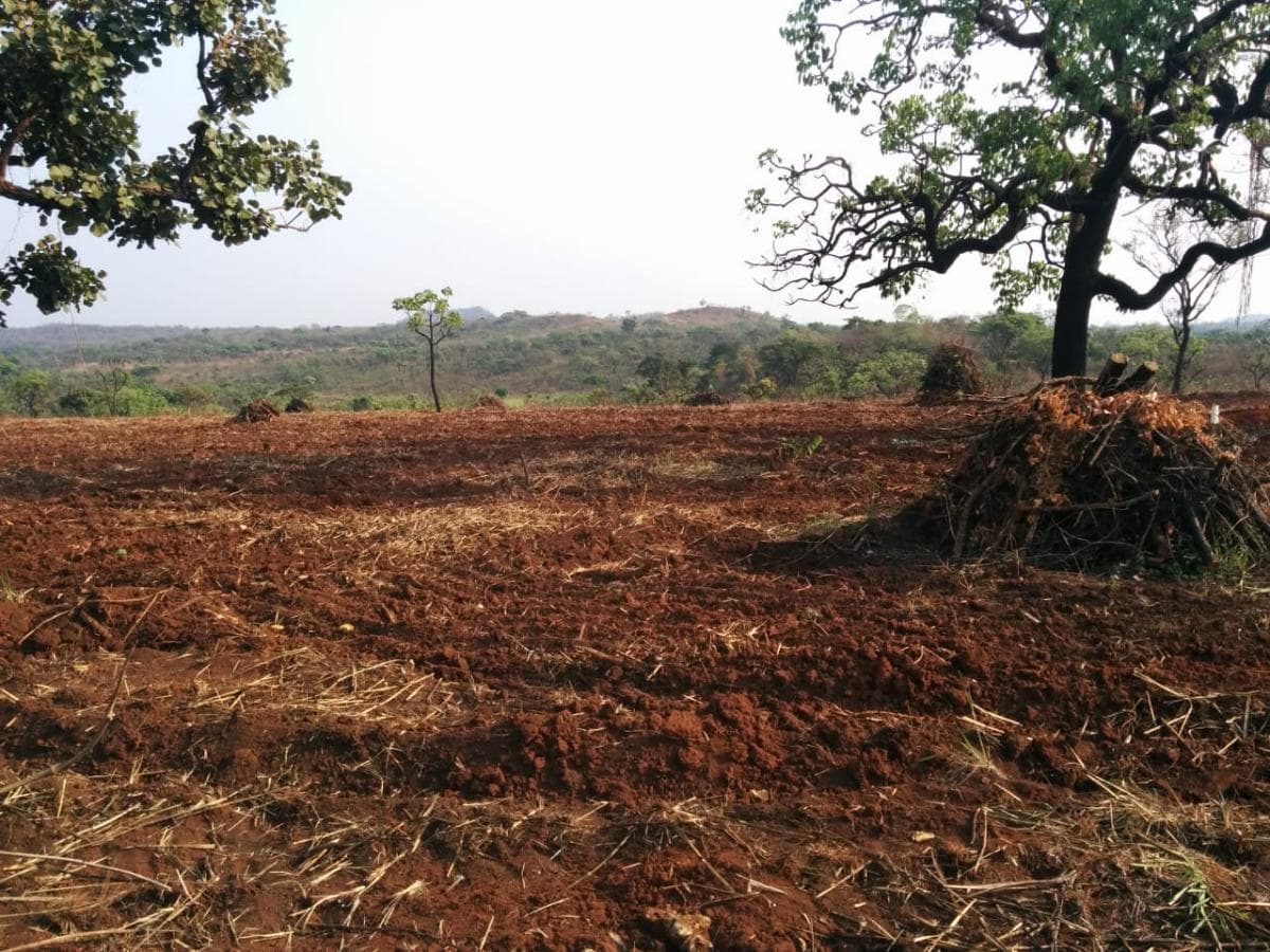 Fazenda Agropecuária | 362 ha · Lucala — imagen 7