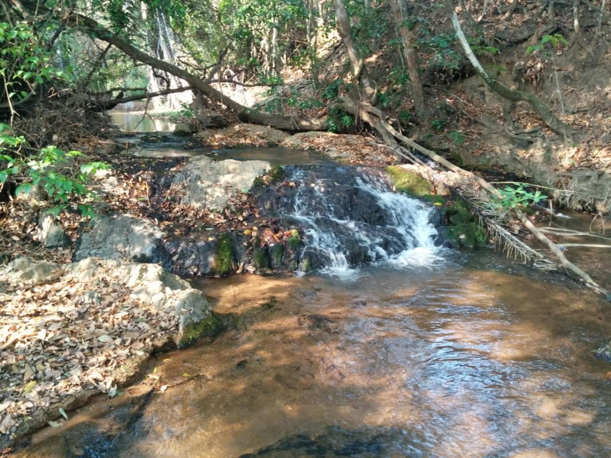 Fazenda Agropecuária | 362 ha · Lucala — imagen 10