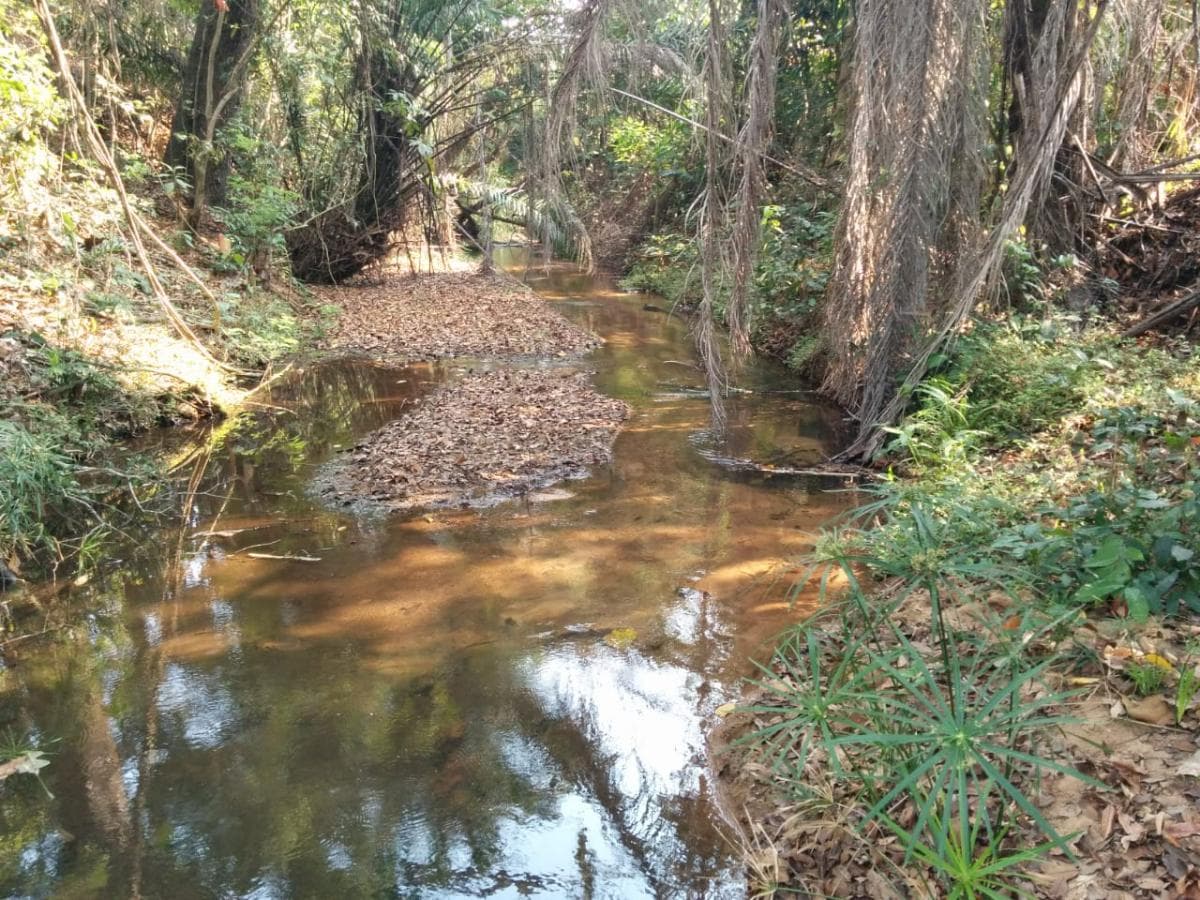 Fazenda Agropecuária | 362 ha · Lucala — imagen 1