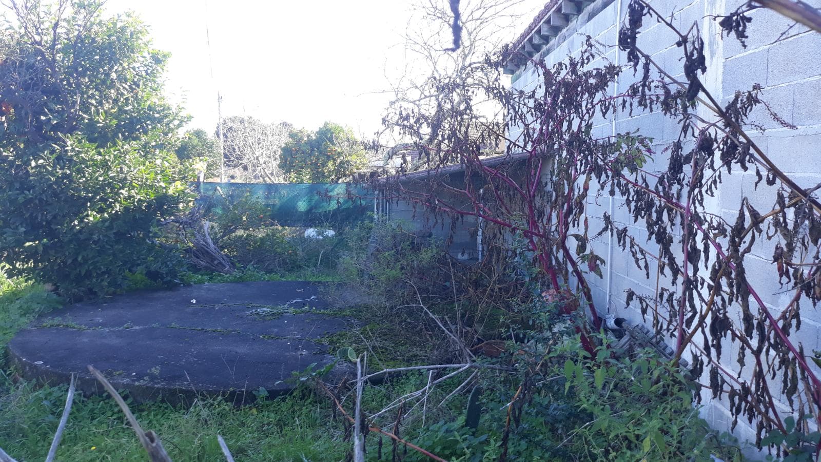 Moradia V4 + Terreno · Cantanhede — imagen 3