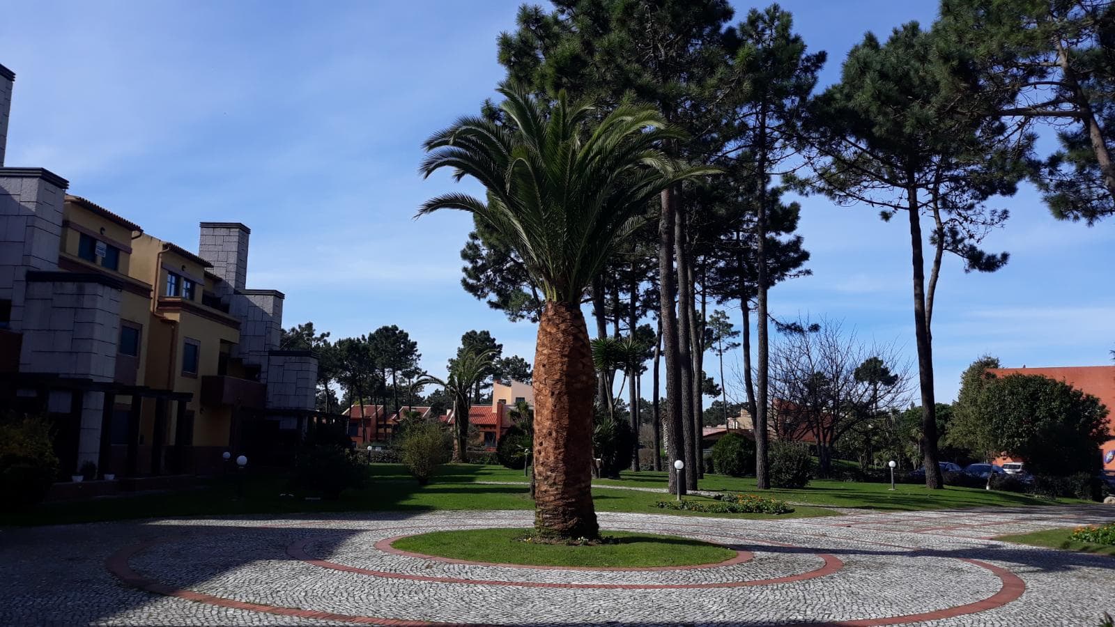 Apartamento T1 · Mira — image 21