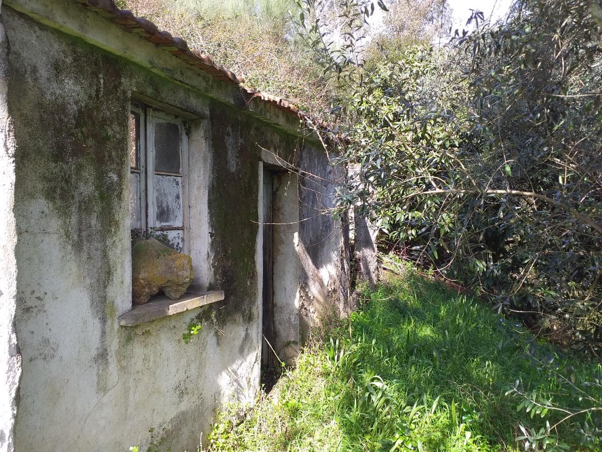 Quinhão Hereditário · Albergaria-a-Velha — imagem 38