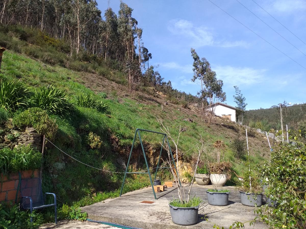 Quinhão Hereditário · Albergaria-a-Velha — imagem 2