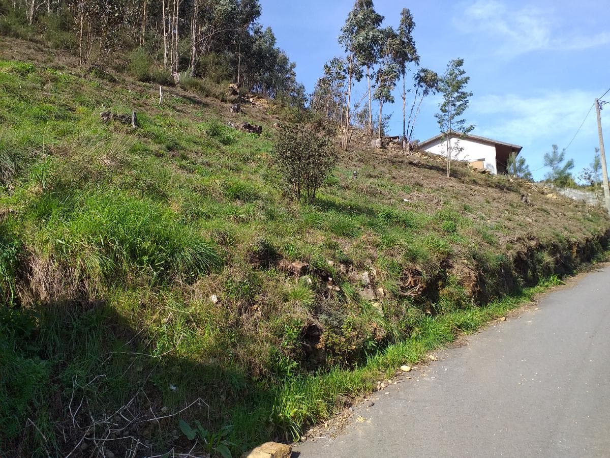 Quinhão Hereditário · Albergaria-a-Velha — imagem 17
