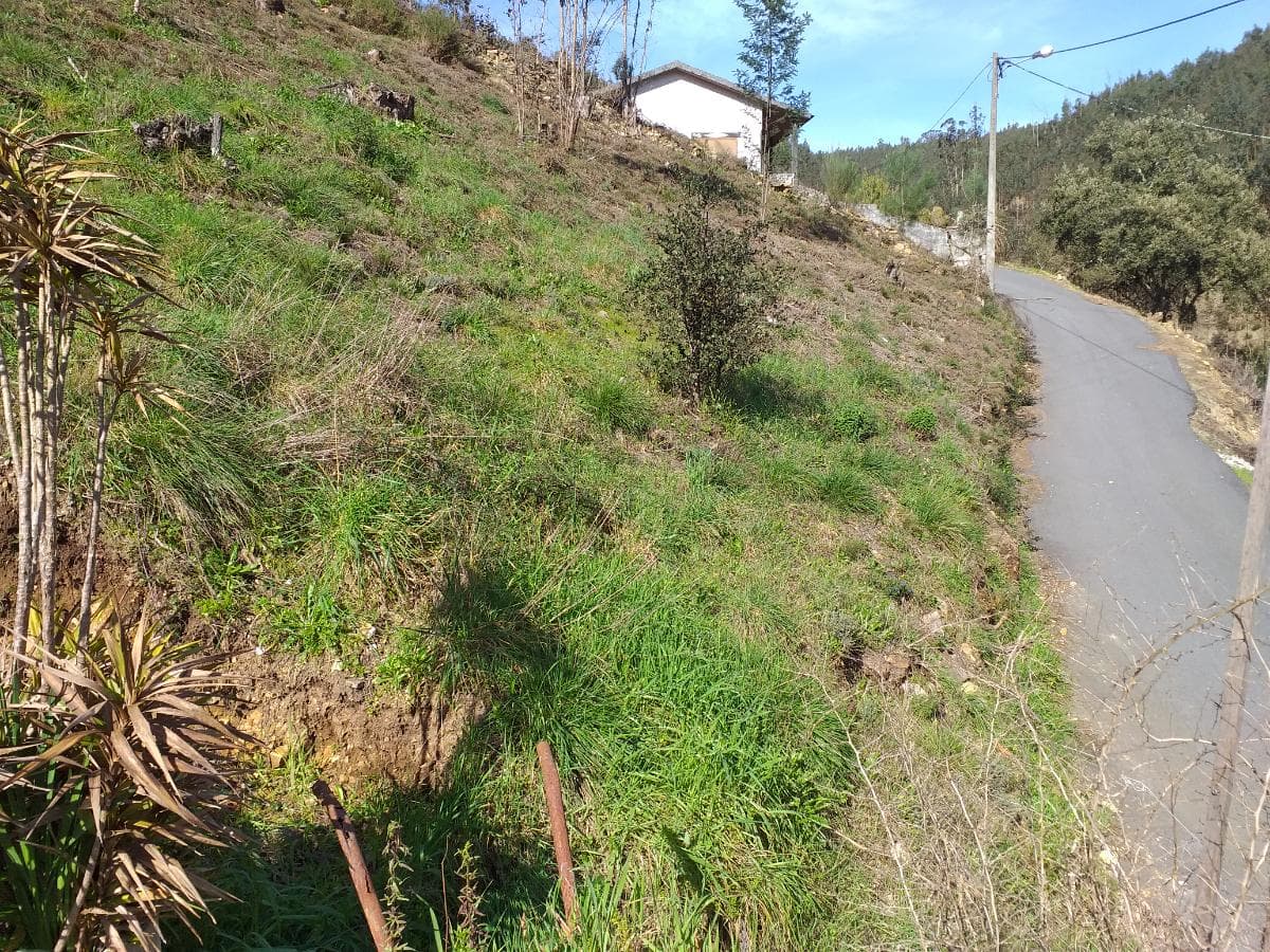 Quinhão Hereditário · Albergaria-a-Velha — imagem 20