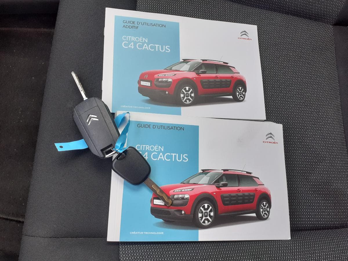 Citroën C4 Cactus 1.6 HDI · Ano 2016 — imagen 30