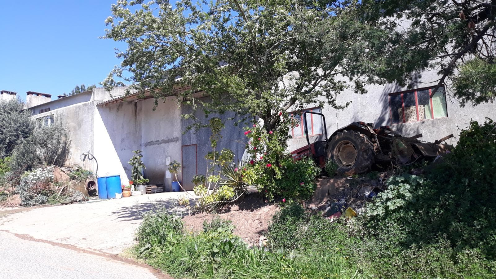 Quinhão Hereditário · Caldas da Rainha — image 5