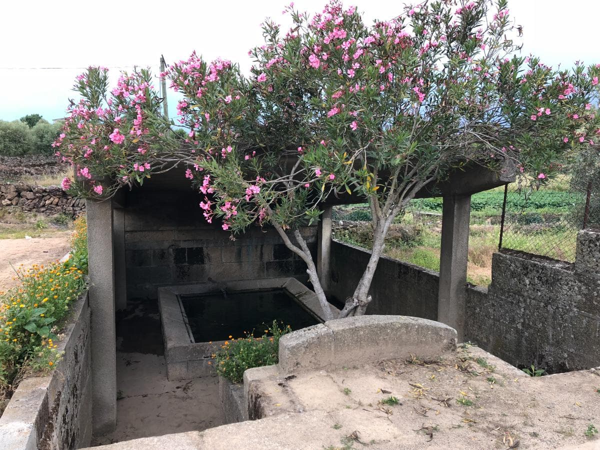 Quinta Secular em Reconstrução · Vila Flor — imagen 19