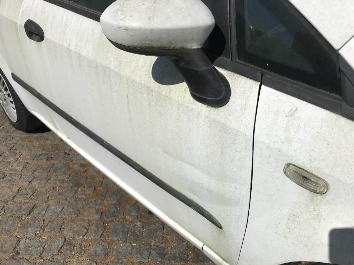 Fiat Punto 1.3 D Multijet — imagen 7