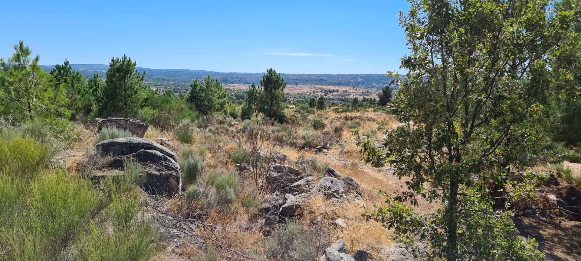 Terrenos · Sabugal, Guarda — imagen 5