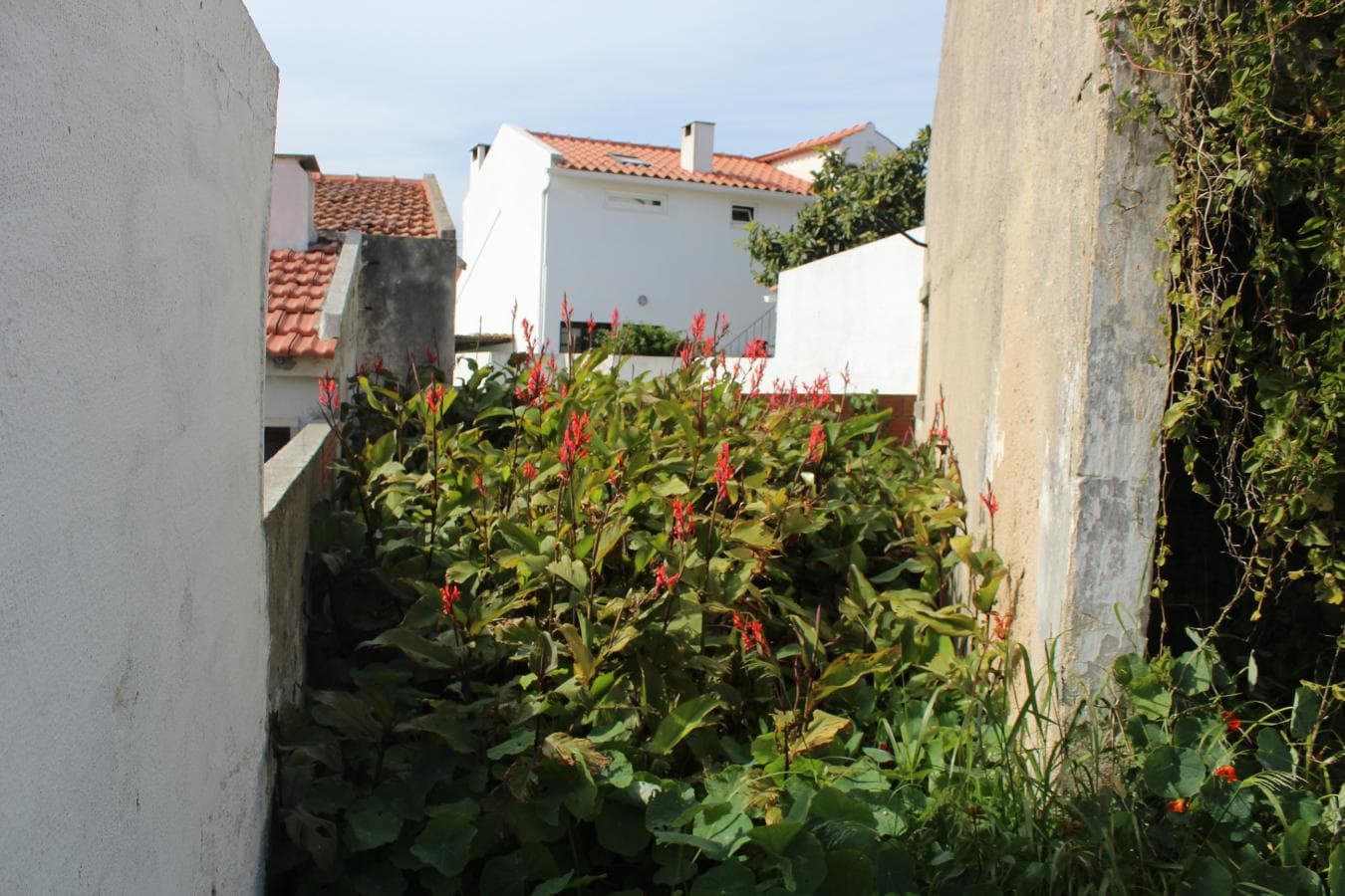 Moradia (Ruínas) · Cascais — imagem 4