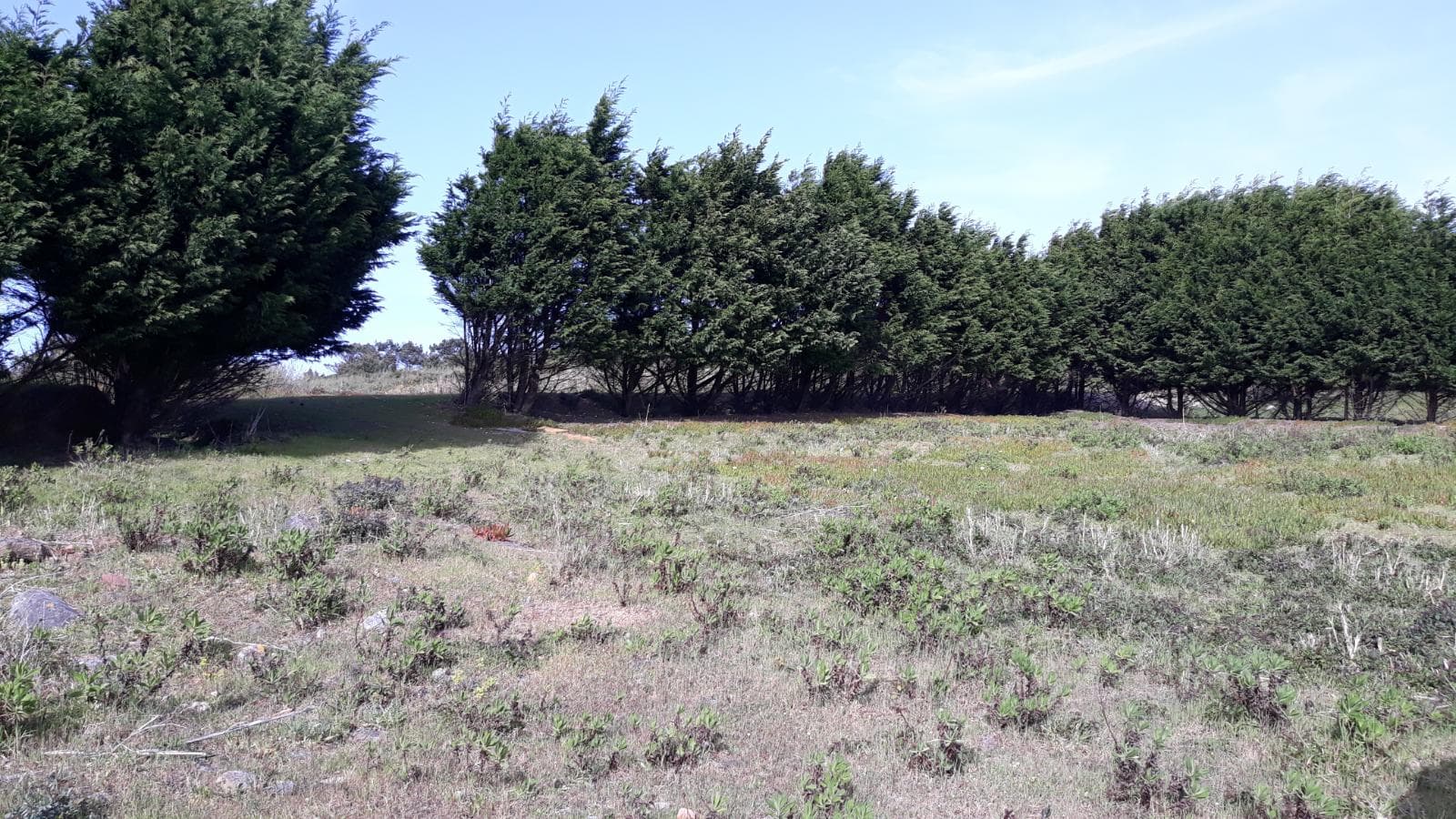 Terreno · Foz do Arelho - Caldas da Rainha — image 4