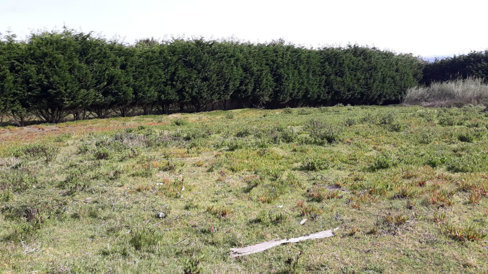 Terreno · Foz do Arelho - Caldas da Rainha — image 1