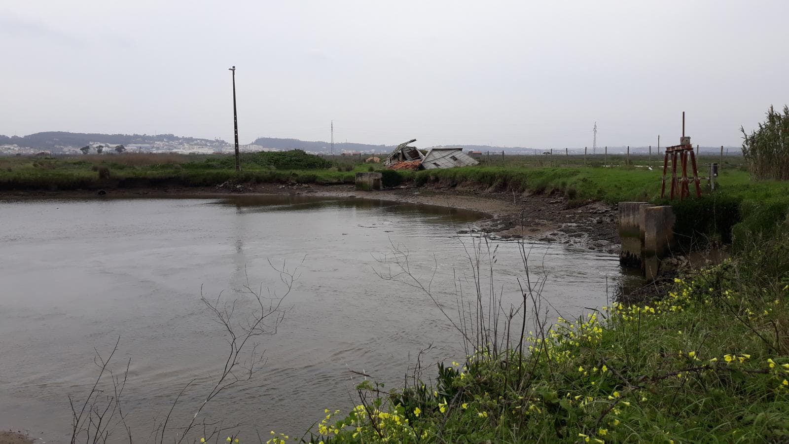 Terreno · 11 hectares  · Figueira da Foz — imagen 3