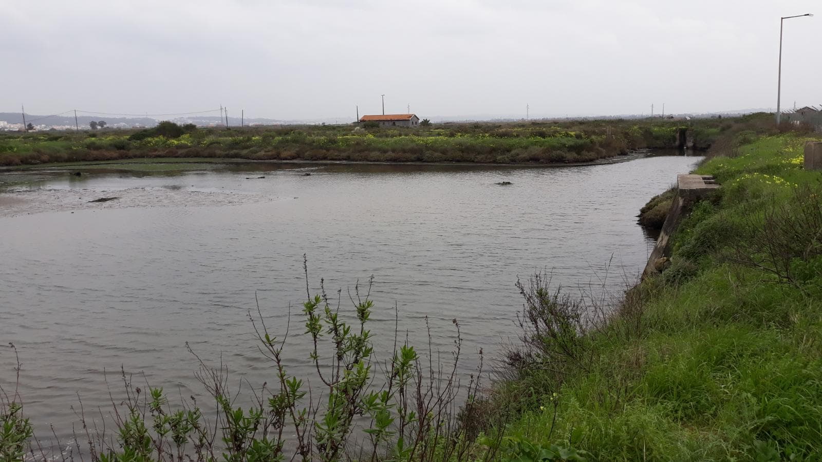 Terreno · 11 hectares  · Figueira da Foz — imagen 4